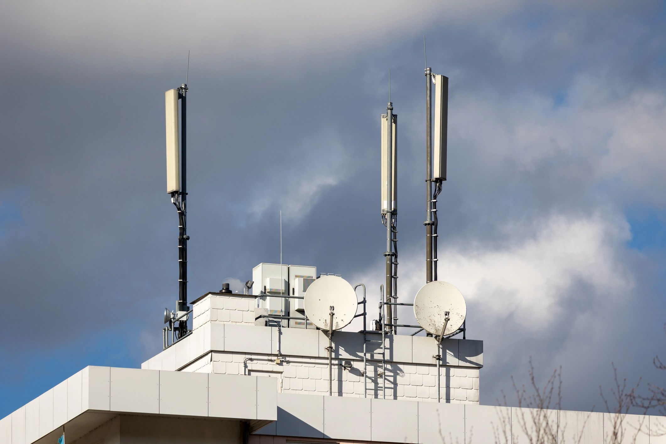 Network antennas supporting internet connectivity